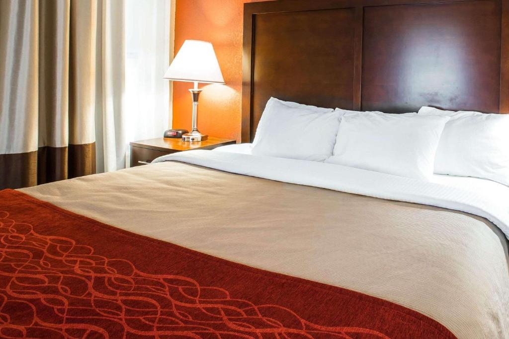 Comfort Inn near Great Smoky Mountain National Park image 18